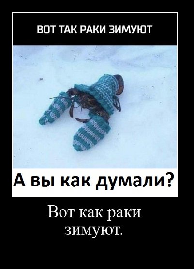 Вот как раки зимуют