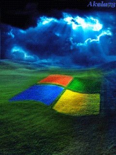 Windows