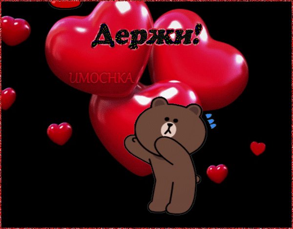 держи 000320