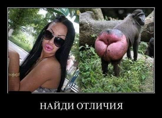 FB IMG 1715171092982