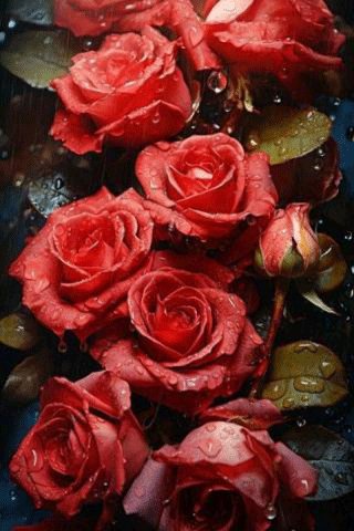 file_96608180