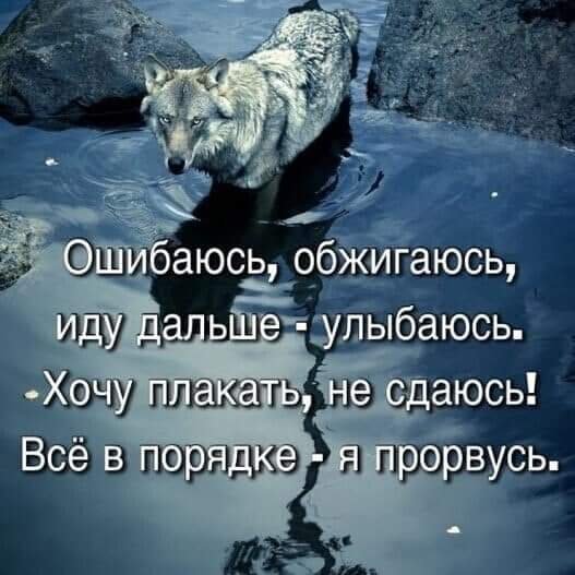 FB IMG 1627249945903