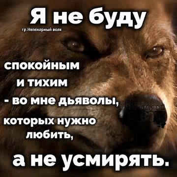 IMG 20260416 063905
