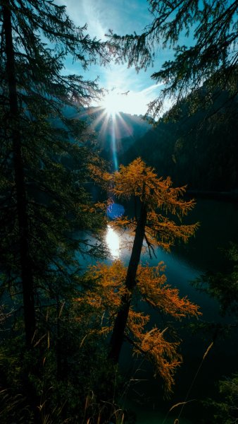 file_96486866