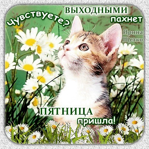 Анимированная открытка пятница пришла