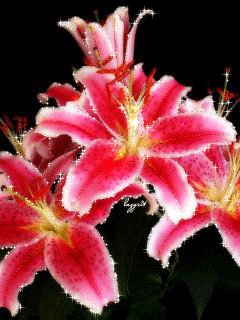 file_50888363