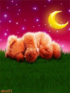 file_54792438