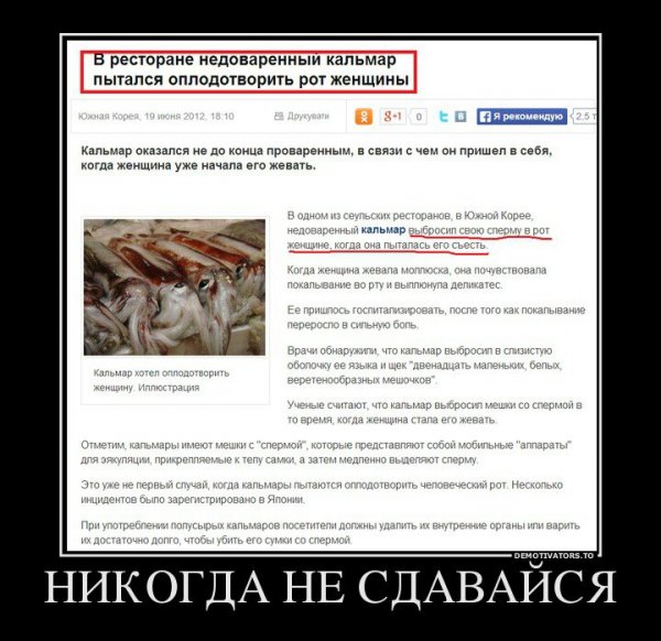 Никогда не сдавайся