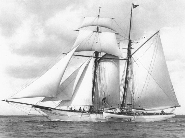 IMG viter59 Oceana