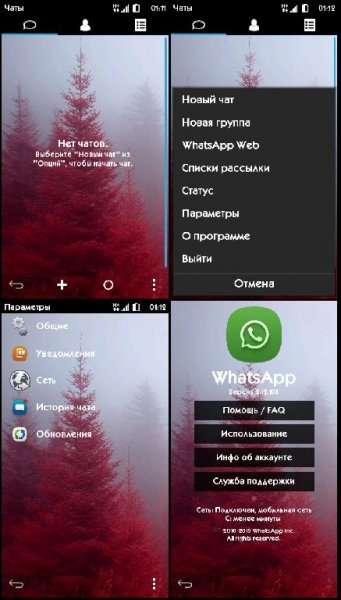 WhatsApp v2.12(198) моды