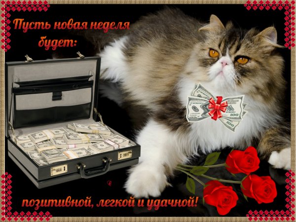 Удачной и прибыльной рабочей недели!