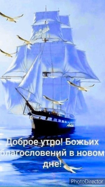 IMG 20220615 113822