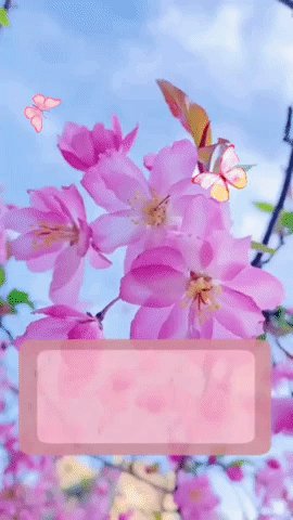 file_97688174