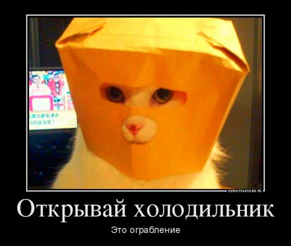 IMG 20191013 095436 898