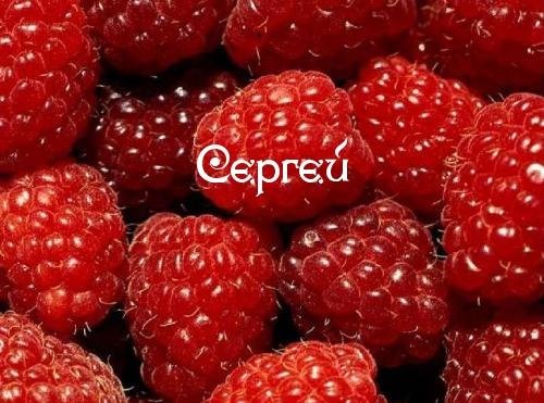 СЕРГЕЙ 2