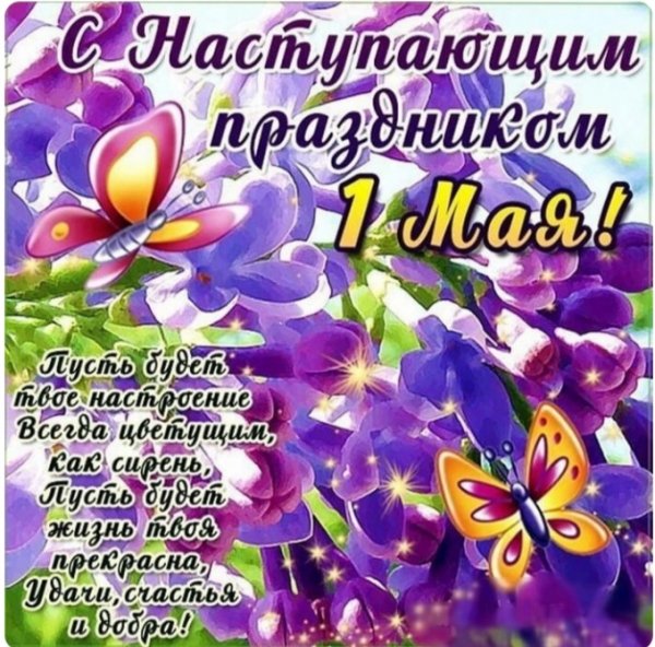 IMG 20260430 164717