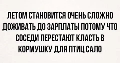 file_100599432