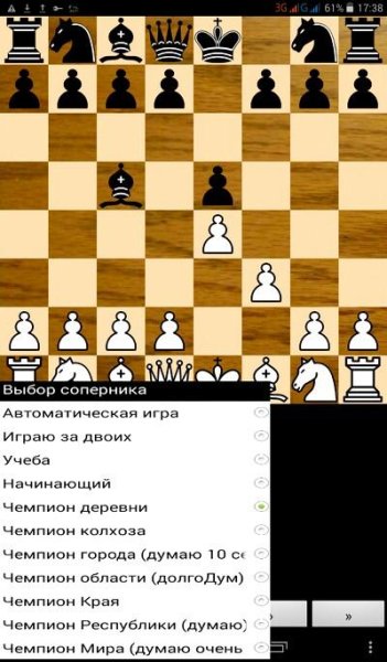 Шахматы