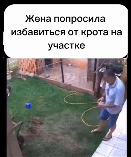 IMG 20240716 235829