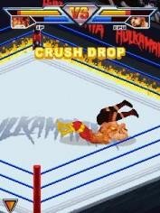 Hulkamania Wrestling 176x220