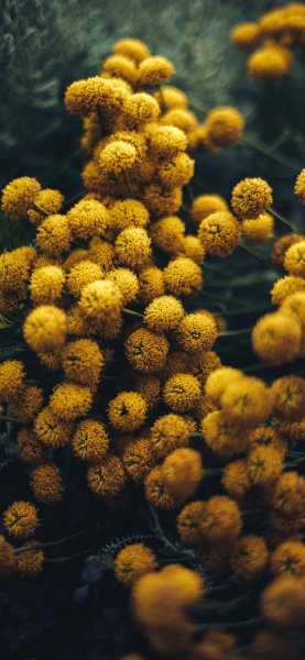 file_92603750