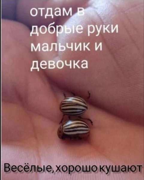 FB IMG 1775929397999