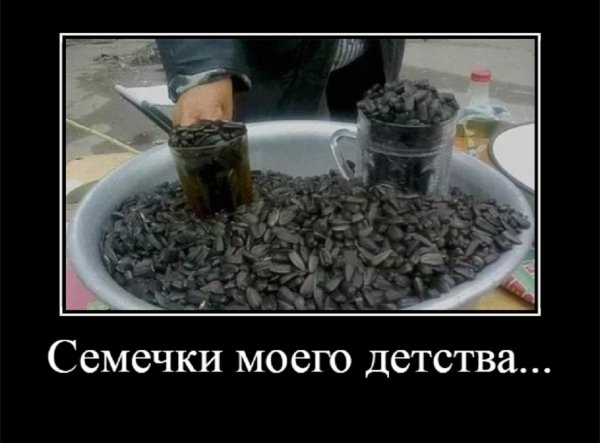 Семечки моего детства
