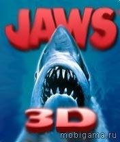 Jaws