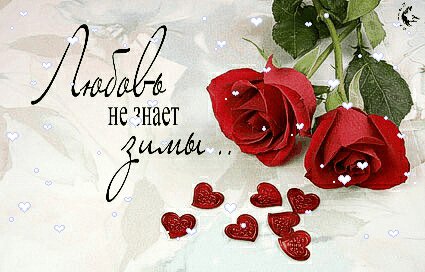 любовь не знает зимы