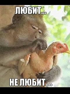 Mem