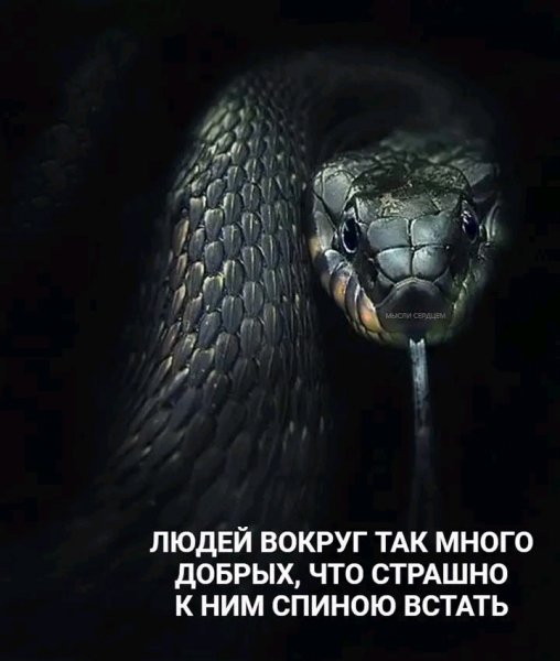 file_100926539