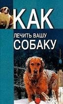 Как лечить вашу собаку