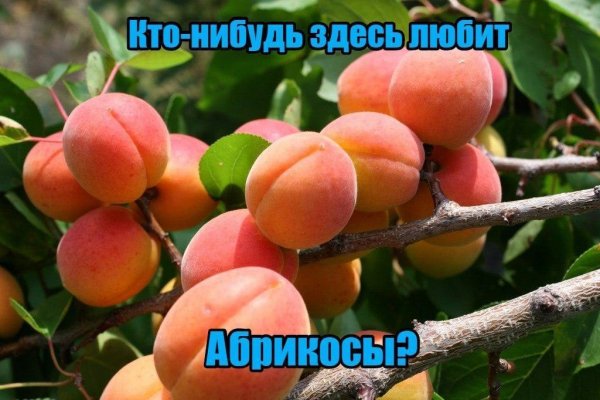 6O6nCwF36zA