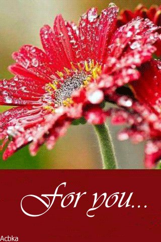 file_76444513