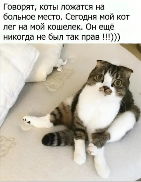file_102579489