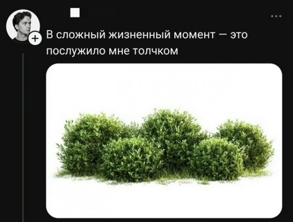 file_102629382