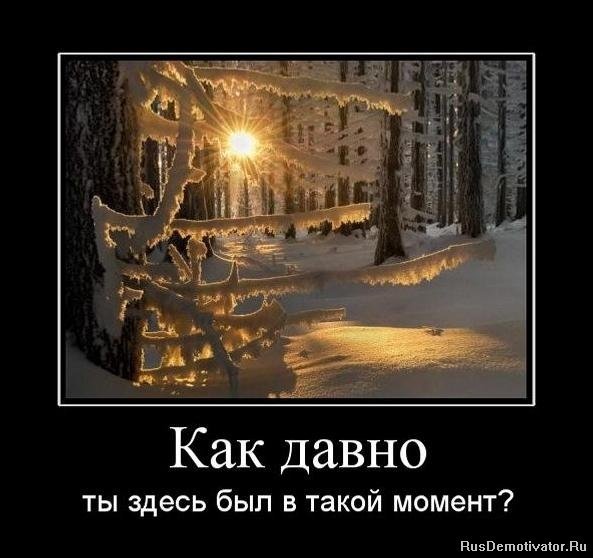 file_88100439