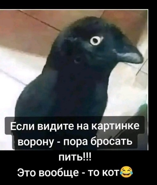 file_103303659
