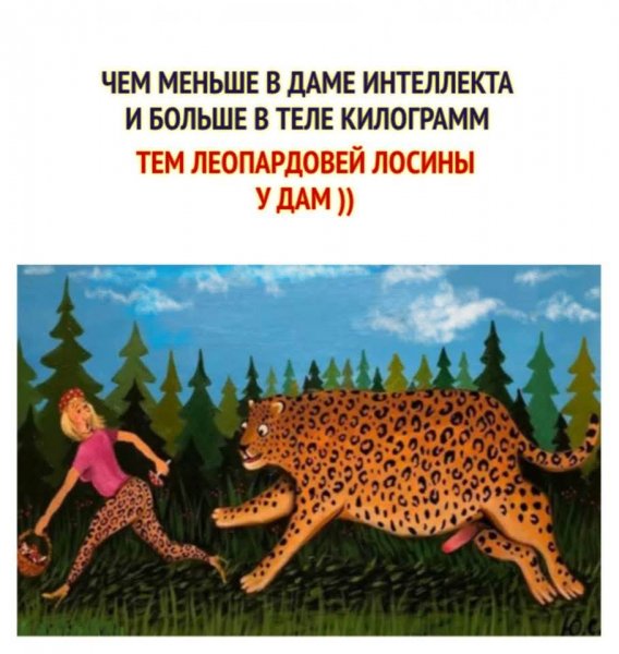 FB IMG 1778146292627