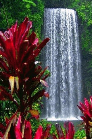 file_51624471