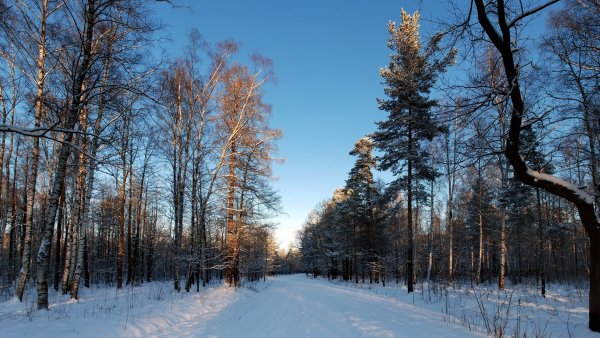 Дорога обои ПК