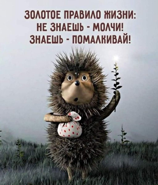FB IMG 1725714991414