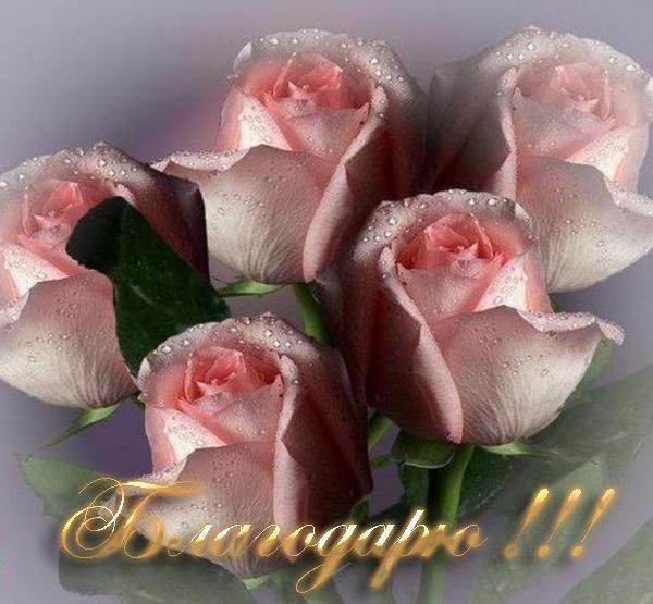 J8Gw1Mzm6 M
