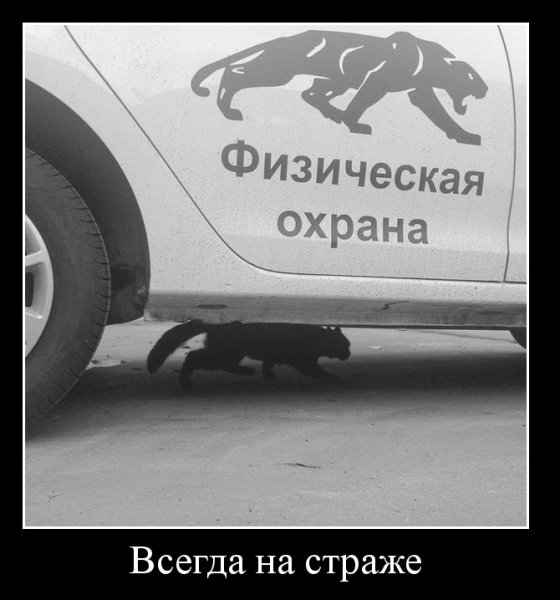 Всегда на страже