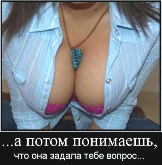 file_84526523