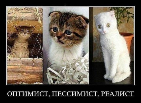 Демотиватор......