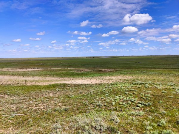 IMG-20260418-WA0004