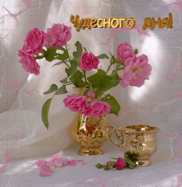 Чудесного дня
