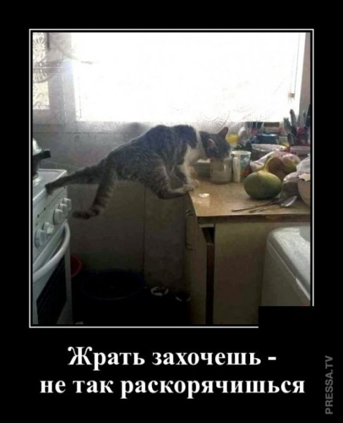 file_77322418