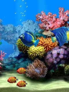Aquarium